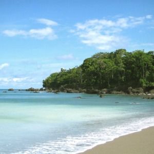 Meet your Posher, Mia